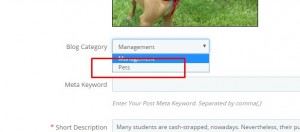 PrestaShop 1.6.x How to create a blog category and assign posts to it4