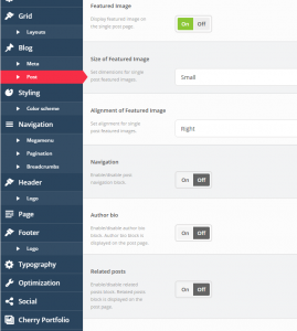 Cherry_Framework_4._How_to_manage_Blog_page_settings_9