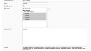 Magento. How to add 'Terms and Condition' rule and check box to the checkout page-2