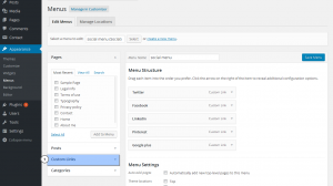 WordPress_Blogging_themes.How_to_manage_social_icons_menu4