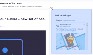 WordPress_Blogging_themes_How_to_work_with_Easy_twitter_feed_widget_6
