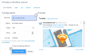 WordPress_Blogging_themes_How_to_work_with_Easy_twitter_feed_widget_7