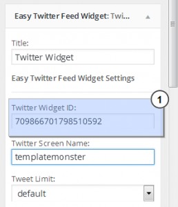 WordPress_Blogging_themes_How_to_work_with_Easy_twitter_feed_widget_9