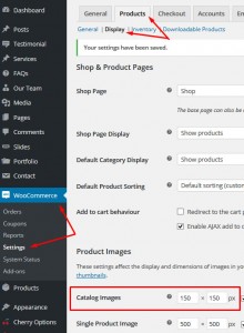 WooCommerce Troubleshooter. How to fix blurry images issue