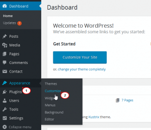 WordPress_Blogging_themes-How_to_manage_Taxonomy_widget-2