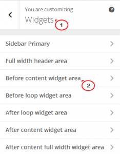 WordPress_Blogging_themes-How_to_manage_Taxonomy_widget-3