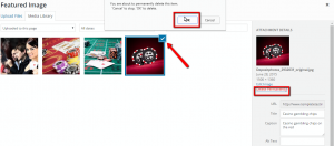 how to remove images from the Slideshow portfolio post.3