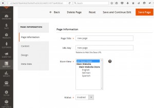 magento-2_how_to_add_duplicate_cms_page-4