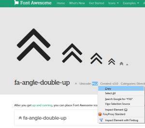 Magento_How_to_manage_font_awesome_icons_3